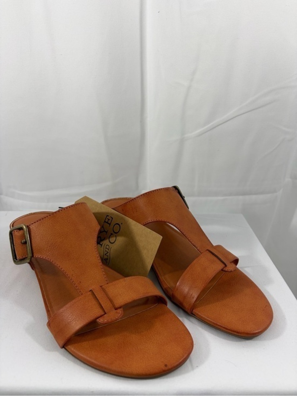 NWT Frye & Co. Women’s Size 9 Tan Slide Sandals with Buckle Accent